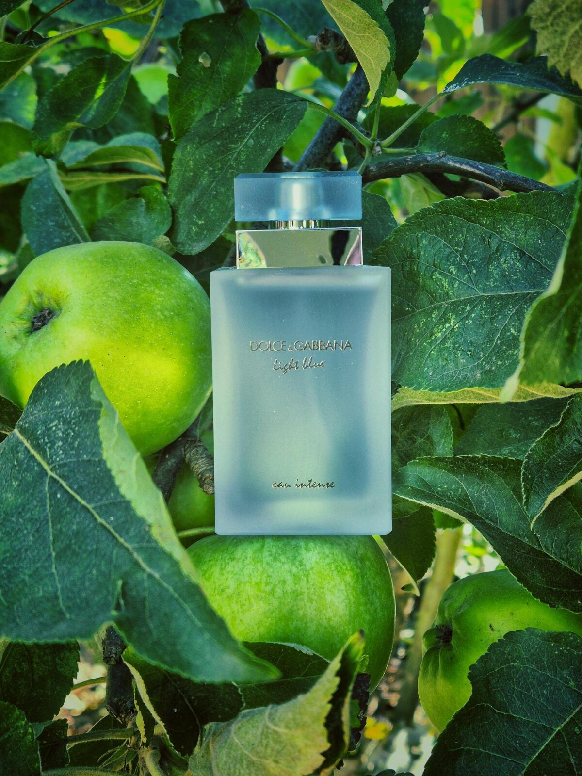 Dolce & Gabbana Light Blue Intense Woman Tester EDT 100Ml/3.4Oz
