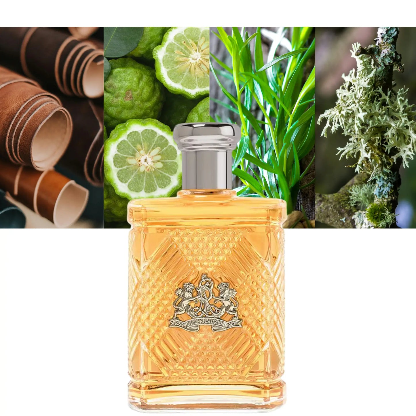 RALPH LAUEN SAFARI EDT 75ML/2.5OZ