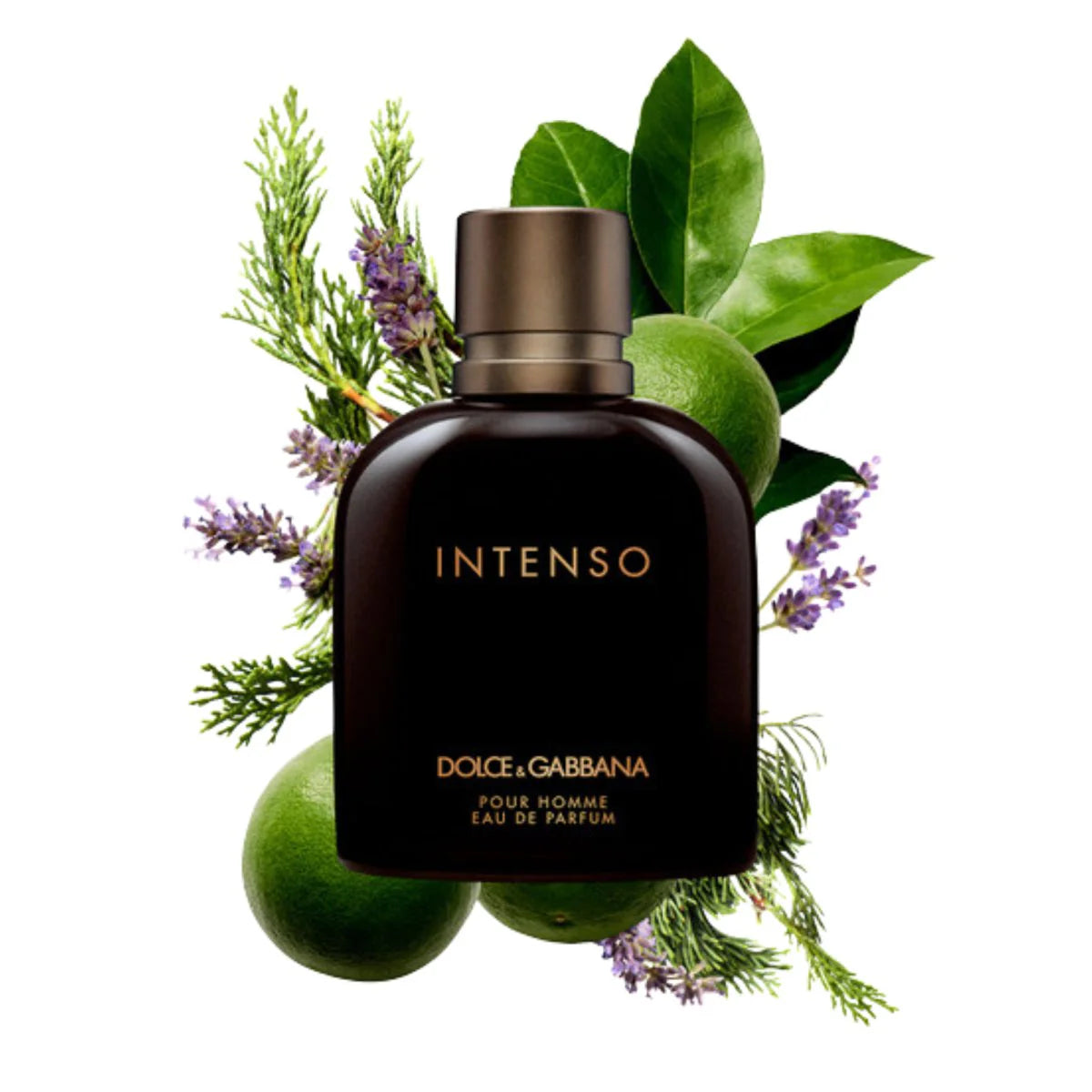 Dolce & Gabbana Intenso Pour Homme EDP-125ml/4.2oz