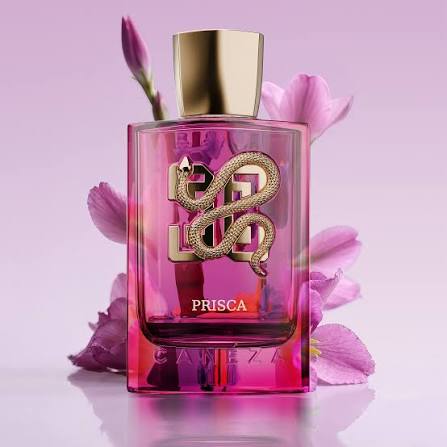 CANEZA Unisex Prisca EDP Spray 3.4 oz