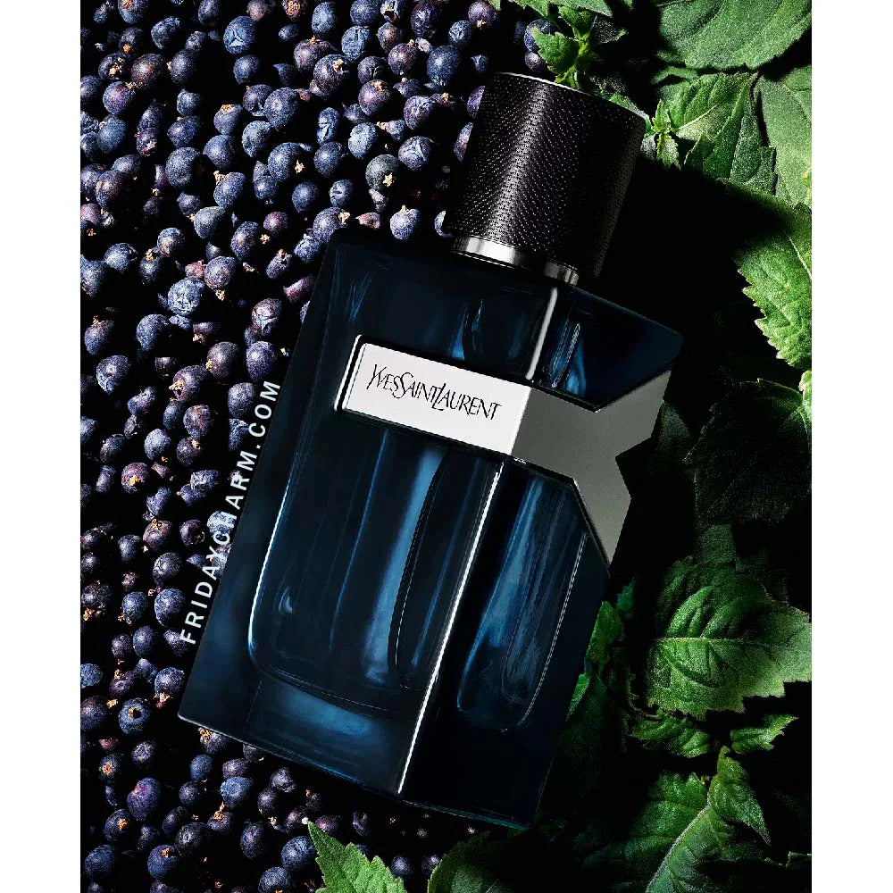 Yves Saint Laurent Y Eau De Parfum Intense-100ml/3.3oz