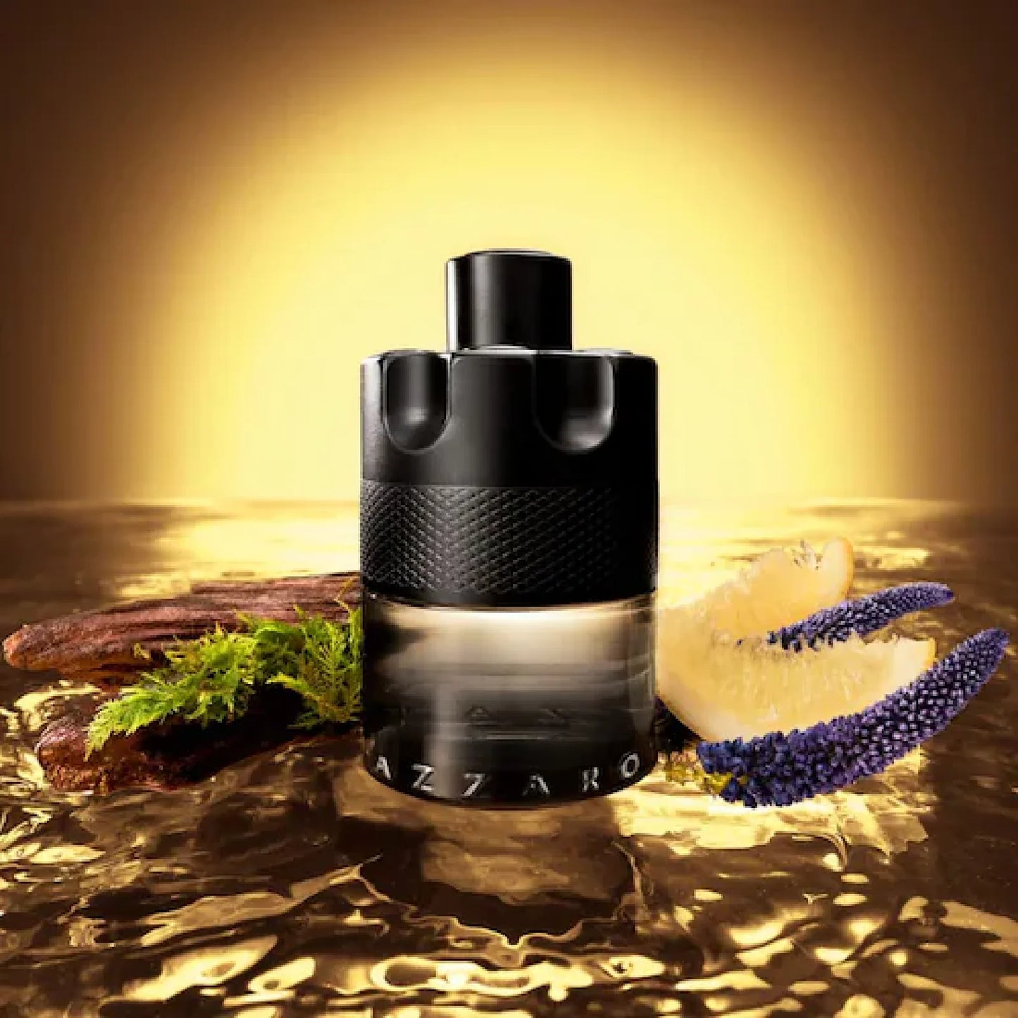 AZZARO THE MOST WANTED EDT INTENSE 50 ML/1.69 FL OZ MEN'S