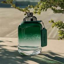 COACH GREEN MEN'S EDT 100ML-3.3OZ