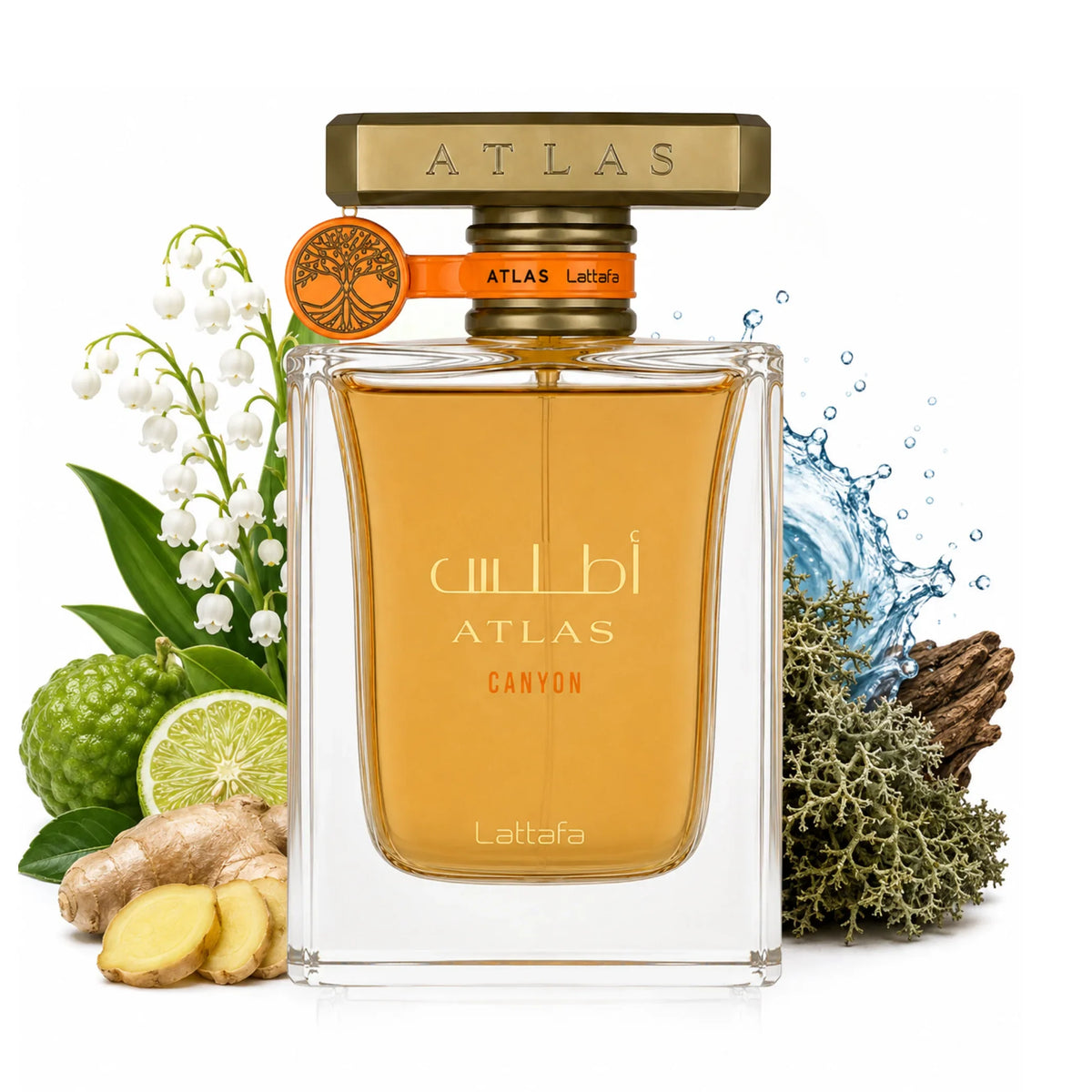 LATTAFA ATLAS CANYON EDP 55ML/1.8OZ