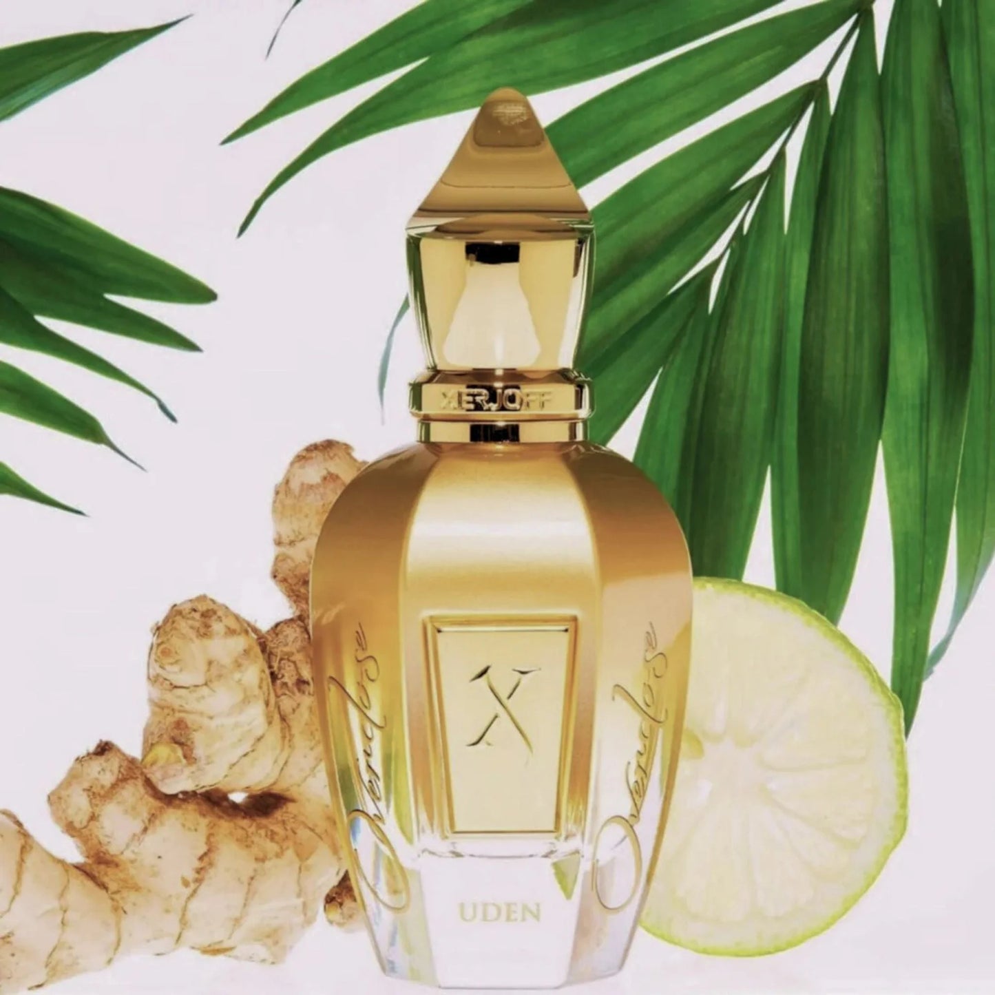 XERJOFF SHOOTING STARS UDEN OVERDOSE 1.7