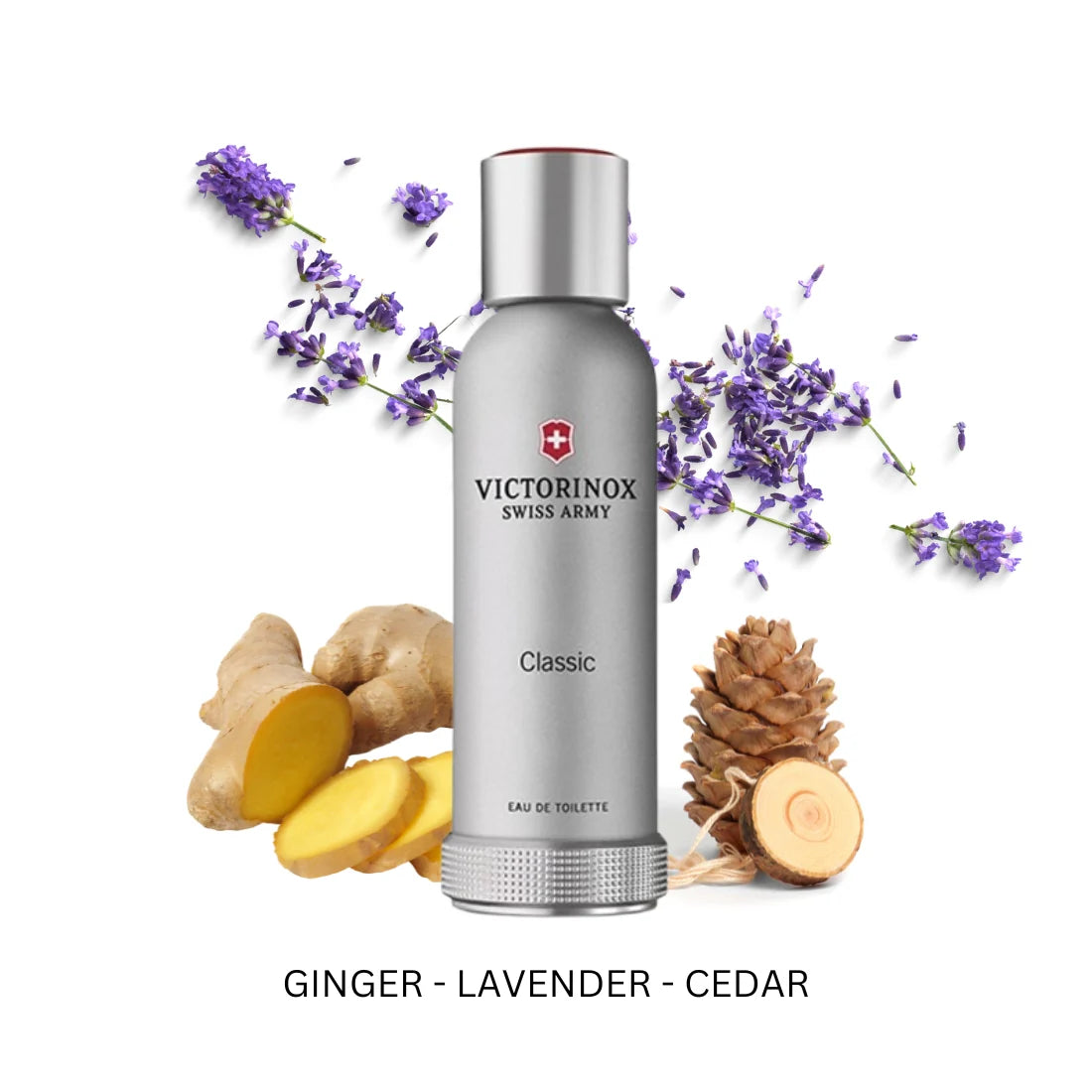 Victorinox Swiss Army Classic Eau de Toilette 100ML/3.4Oz