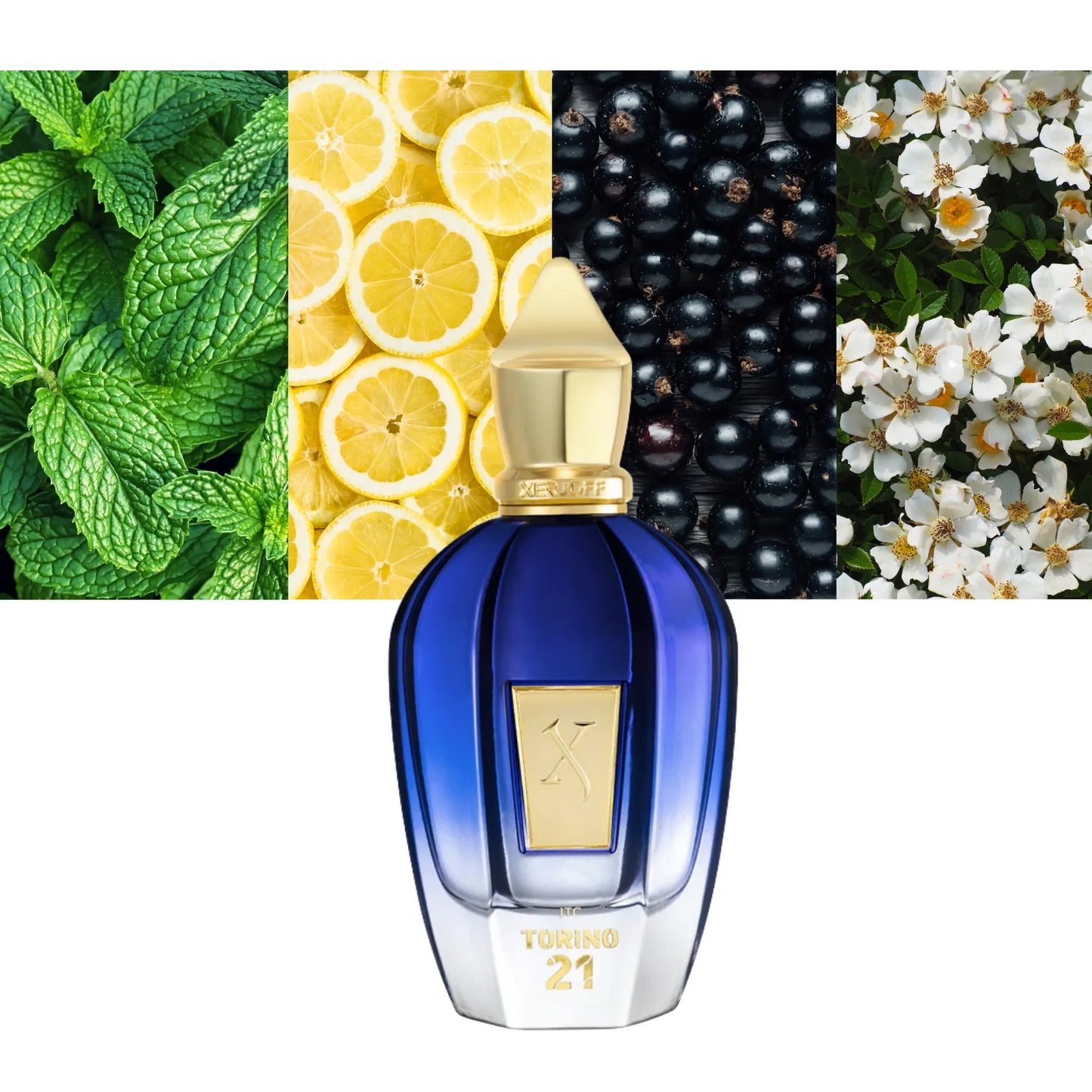 XERJOFF Torino 21 Eau De Parfum 100ML/3.4Oz
