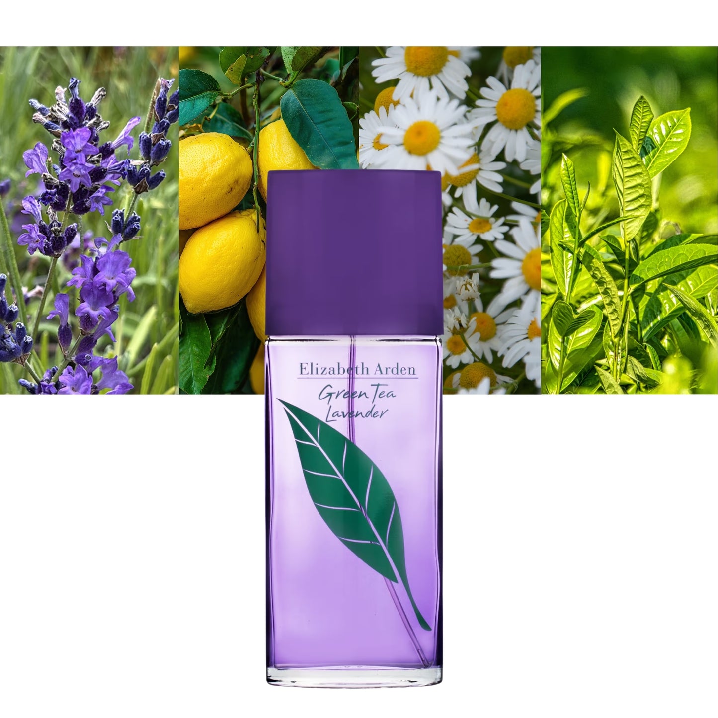 ELIZABETH ARDEN Green Te Lavander Eau De Toilette 100ml/3.3Oz