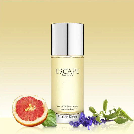 CALVIN KLEIN ESCAPE FOR MEN 100 ML/3.3 FL OZ