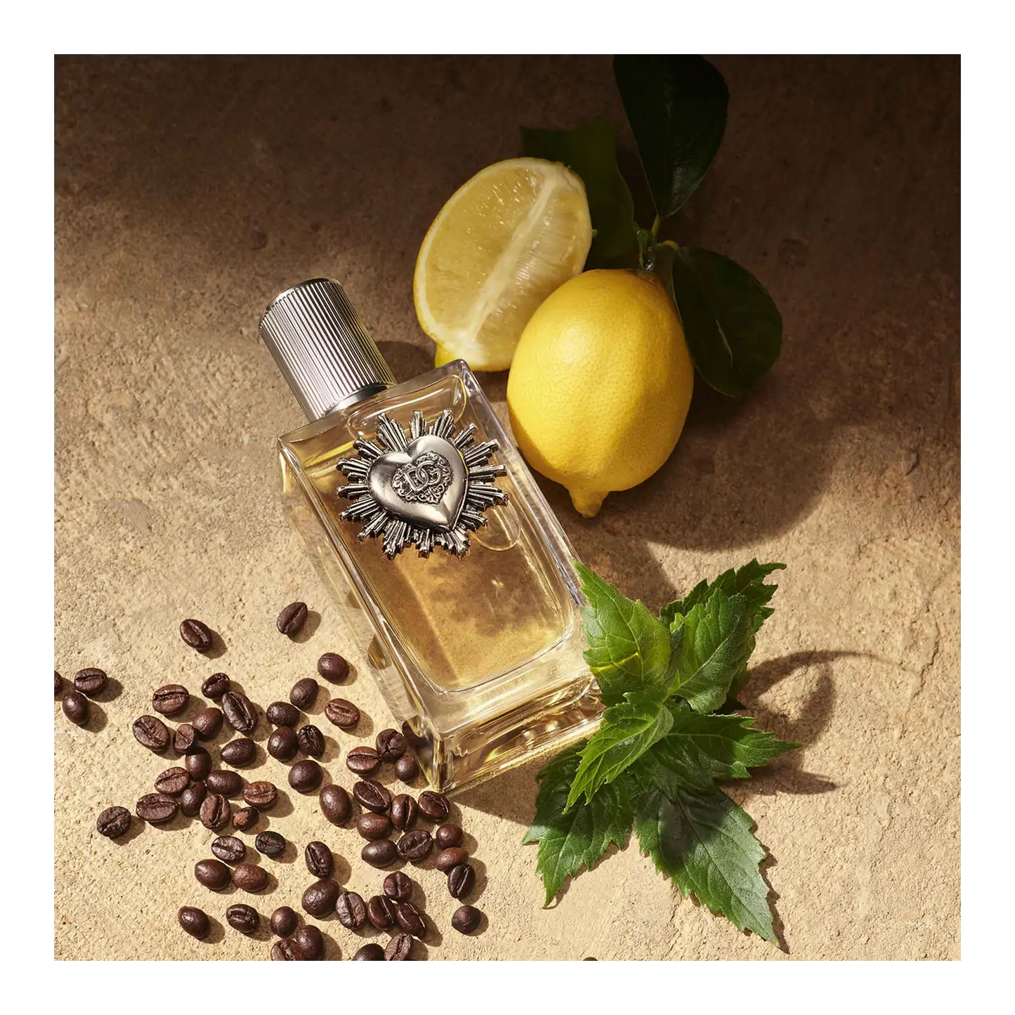 DOLCE GABBANA DEVOTION POUR HOMME EAU DE PARFUM 100  ML/3.3 FL OZ