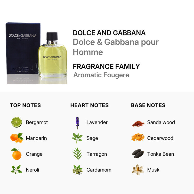 Dolce & Gabbana Spray 6.7 Oz
