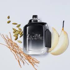 COACH NEW YORK Man Eau De Toilette 100 ML-3.3OZ