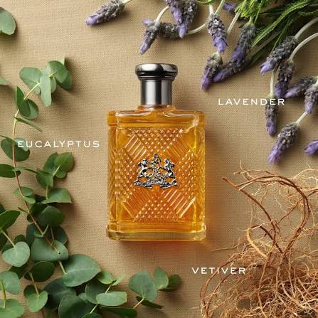 RALPH LAUEN SAFARI EDT 75ML/2.5OZ