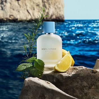 DOLCE & GABBANA Light Blue Pour Homme Eau De Toilette 100ML/3.3Oz
