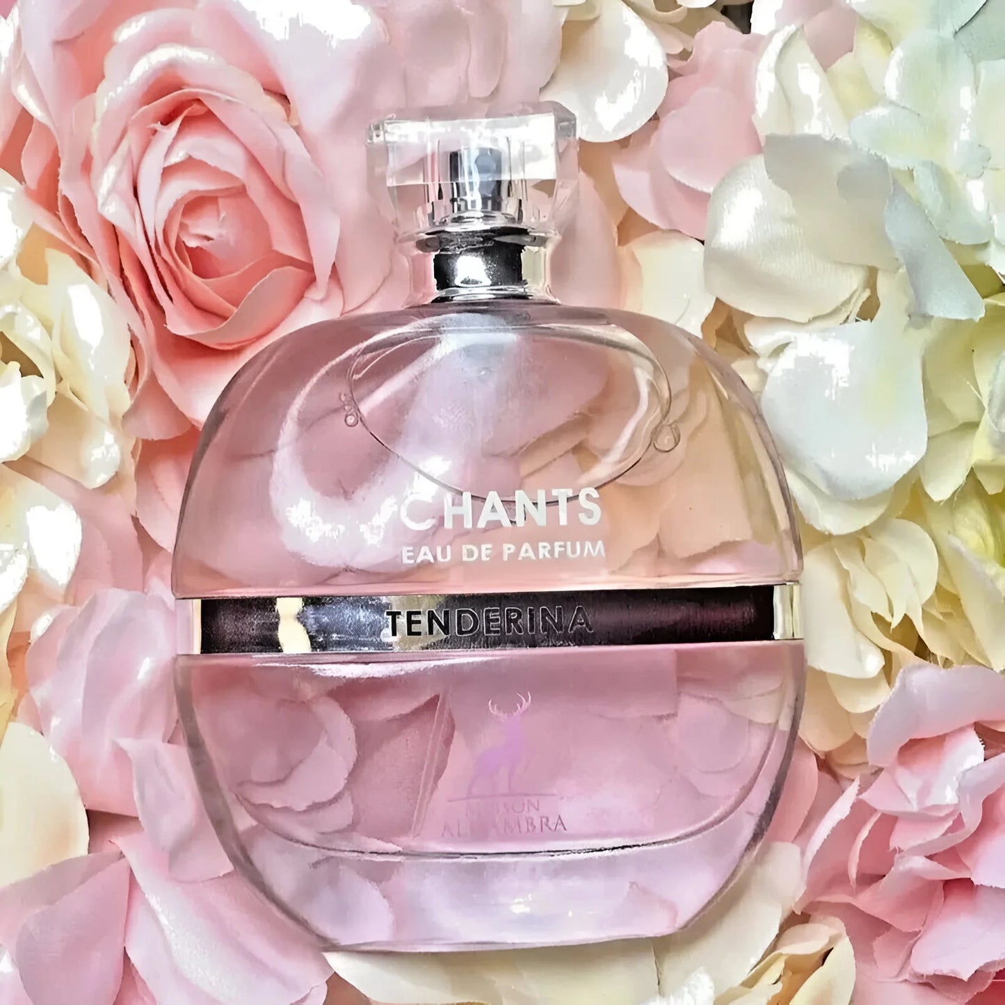 MAISON ALHAMBRA CHANTS TENDERIN EDP WOMEN'S