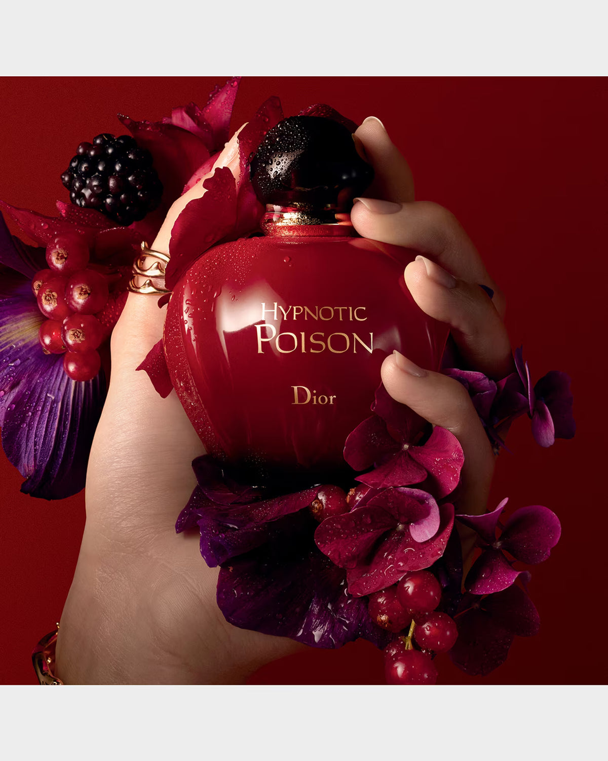 CHRISTIAN DIOR HYPNOTIC POISON EDT 100ML/3.4OZ